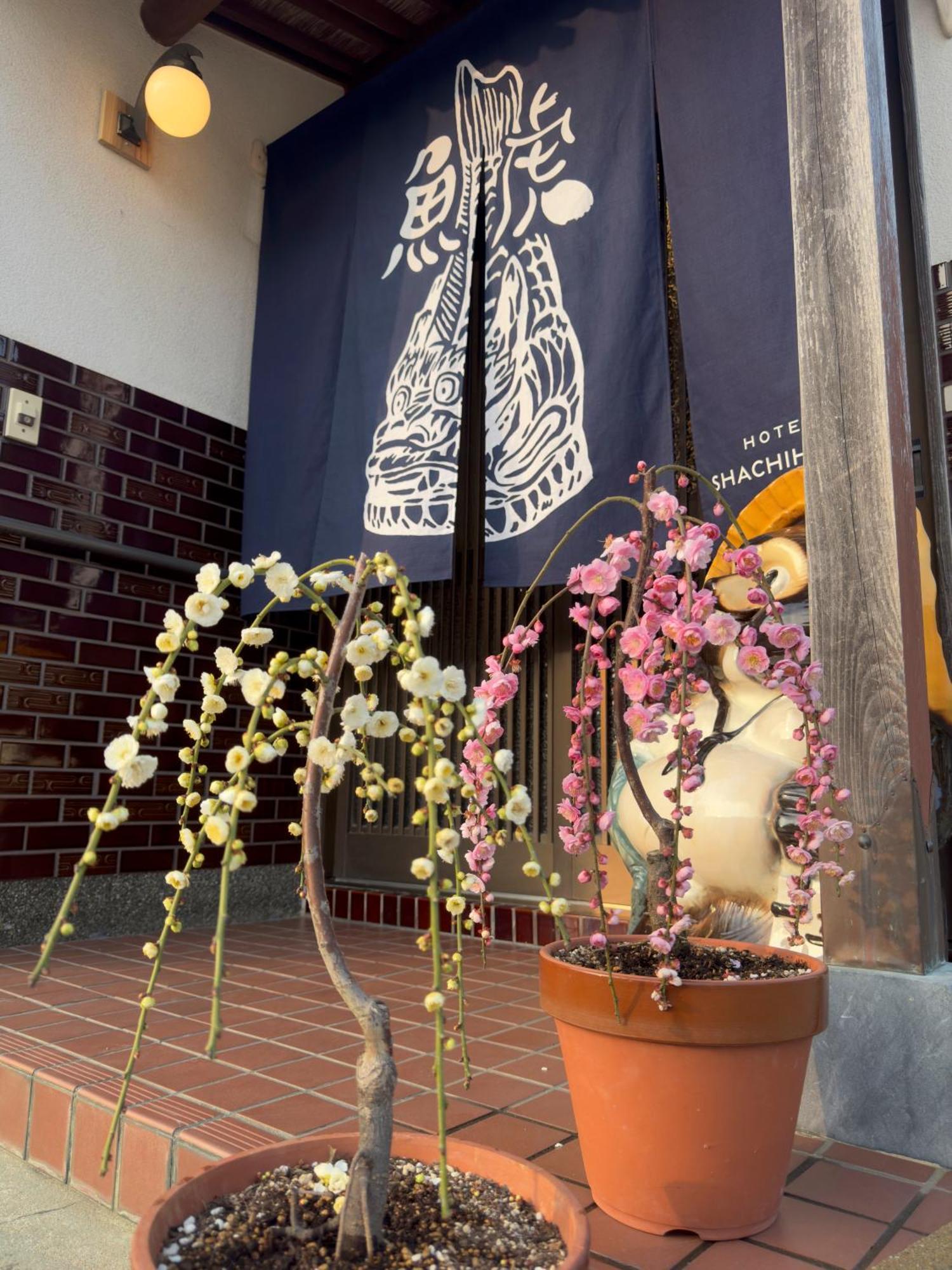 Shachihoko 海辺の一棟貸切ヴィラ しゃちほこ Imari Eksteriør billede